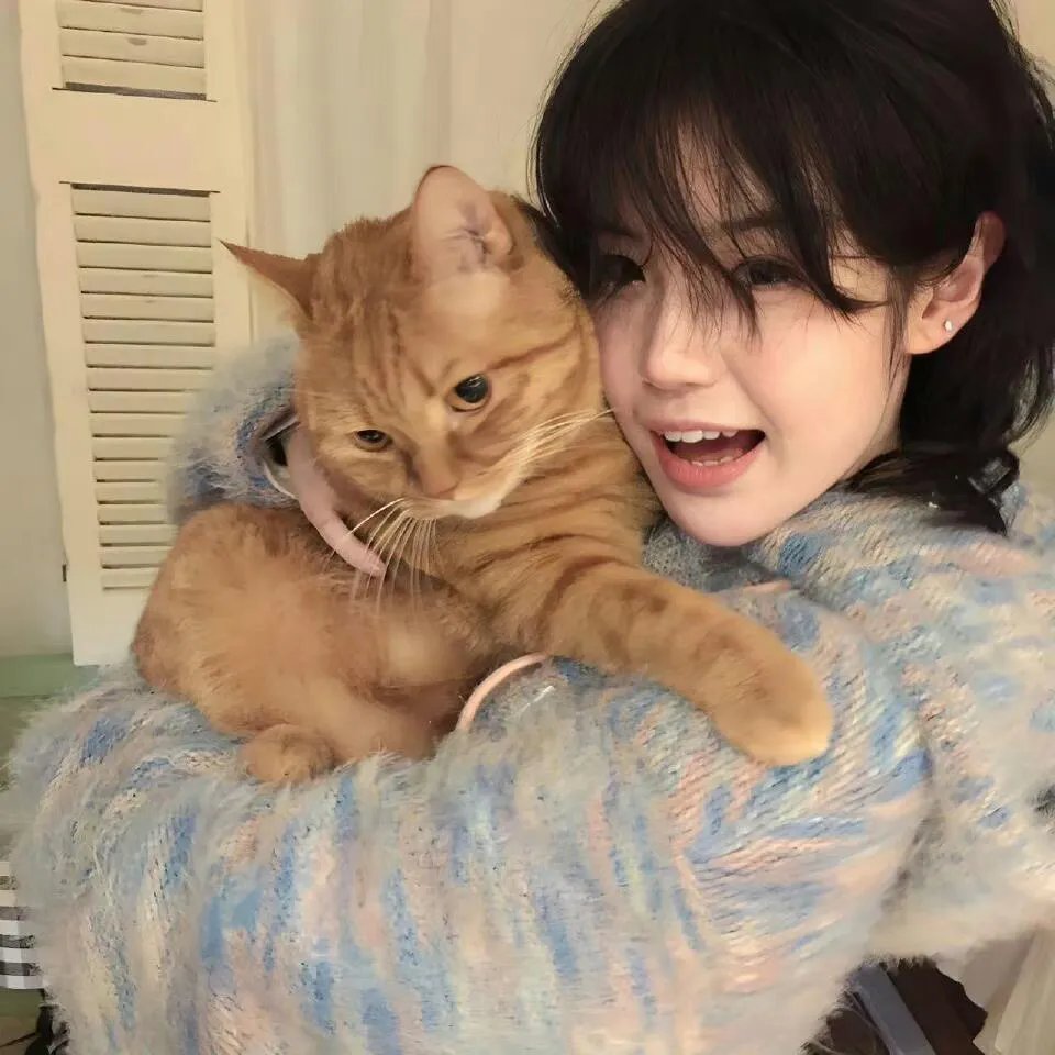 我们将他们全部杀死