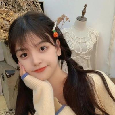 暮光之城4：破晓(上)